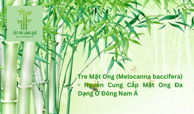 Tre Mật Ong (Melocanna baccifera) – Nguồn Cung Cấp Mật Ong Đa Dạng Ở Đông Nam Á