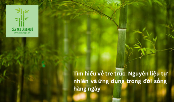 Tìm hiểu về tre trúc: Nguyên liệu tự nhiên và ứng dụng trong đời sống hàng ngày