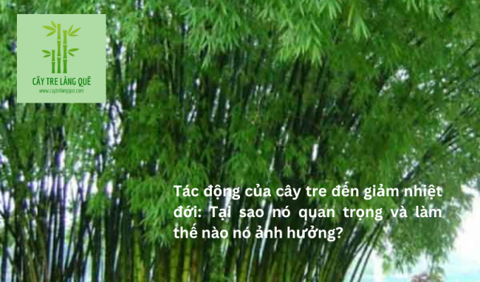 Tác động của cây tre đến giảm nhiệt đới: Tại sao nó quan trọng và làm thế nào nó ảnh hưởng?