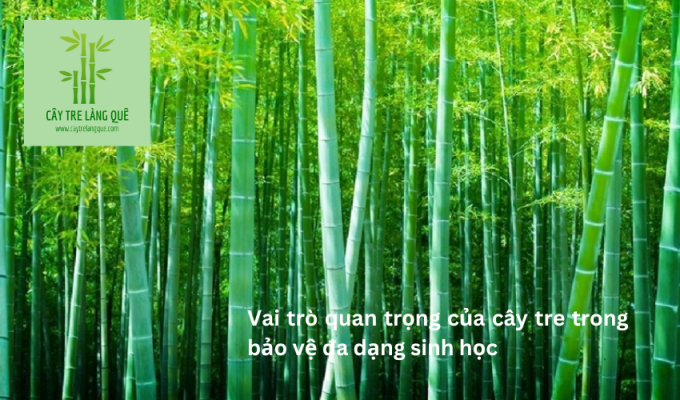 Vai trò quan trọng của cây tre trong bảo vệ đa dạng sinh học