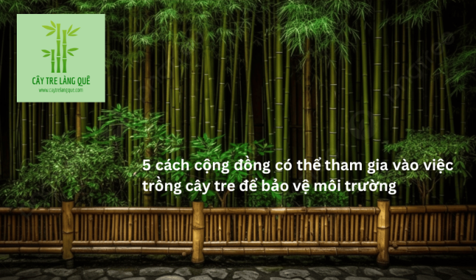 5 cách cộng đồng có thể tham gia vào việc trồng cây tre để bảo vệ môi trường