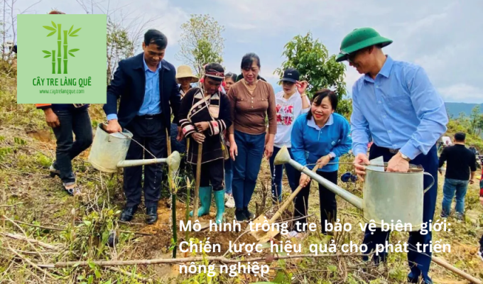 Mô hình trồng tre bảo vệ biên giới: Chiến lược hiệu quả cho phát triển nông nghiệp