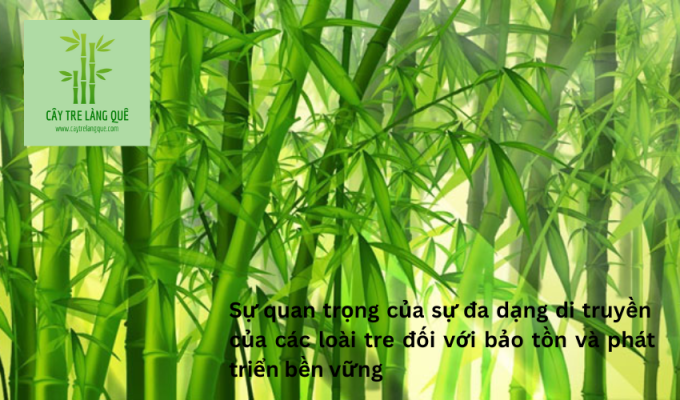 Sự quan trọng của sự đa dạng di truyền của các loài tre đối với bảo tồn và phát triển bền vững